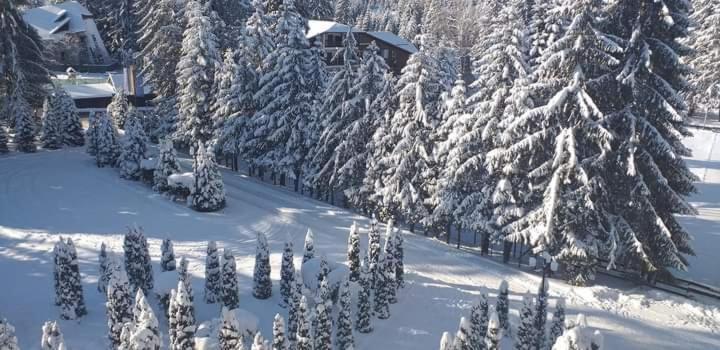 Hotel Miraj - Restaurant & Sauna & Biliard Poiana Brasov Exterior photo