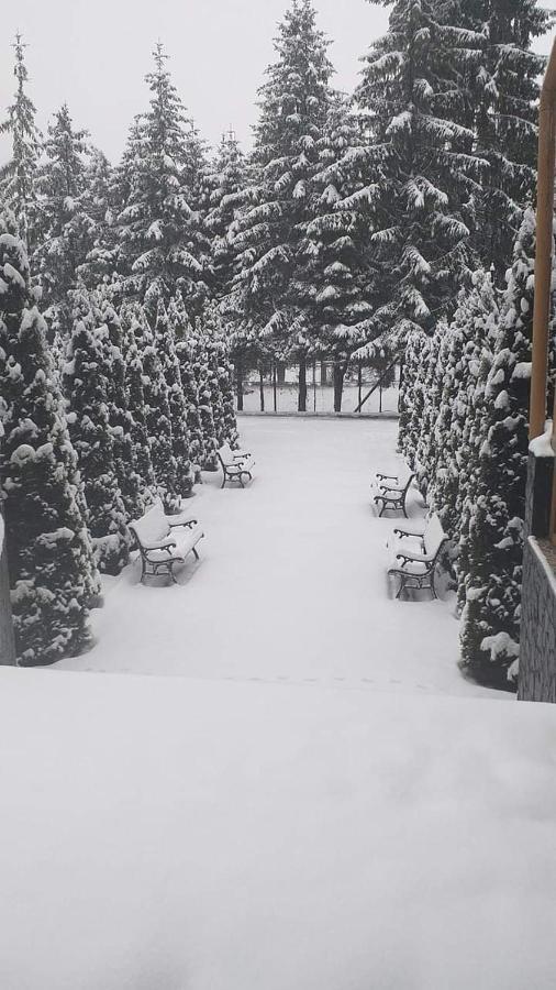 Hotel Miraj - Restaurant & Sauna & Biliard Poiana Brasov Exterior photo